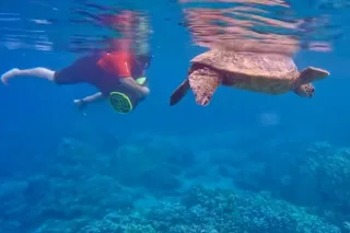 Kaanapali Sea Scooter Snorkeling Tour to Lanai