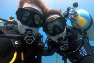 Oahu Shallow Reef Dive thumbnail 6