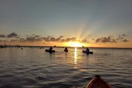 Manatee Cove Kayaking Tour with Manatee & Dolphin Sightings thumbnail 2