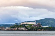 San Francisco Coit Tower and Little Italy Walking Tour thumbnail 4