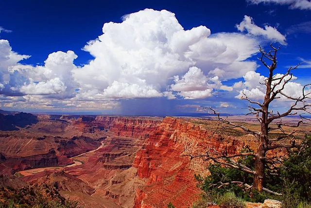 Grand Canyon Off-Road Sunset Safari - Image 6