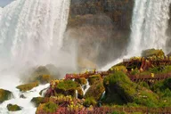 Niagara Falls Tour with Maid of the Mist and Cave of the Winds thumbnail 5