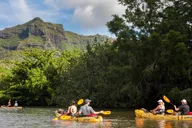 Wailua River Paddle Tour thumbnail 1