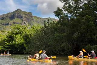 Wailua River Paddle Tour