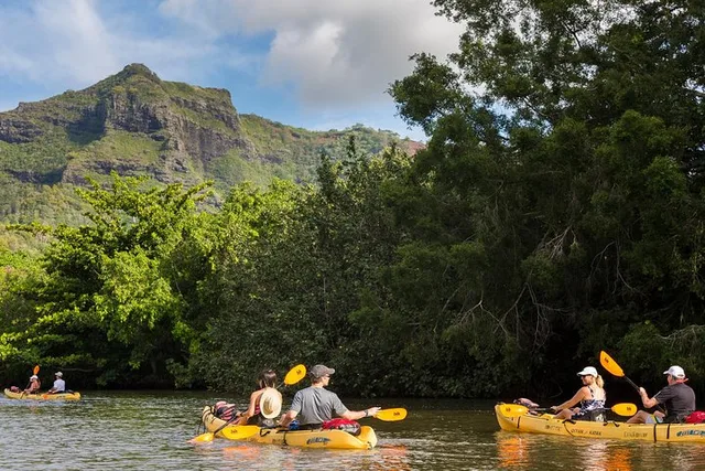 Wailua River Paddle Tour - Image 1