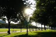 Washington DC National Mall Walking Tour 2 hr thumbnail 6