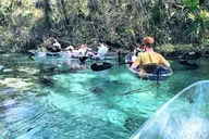 Rock Springs Glass Bottom Kayak Eco Tour 2 hr thumbnail 4