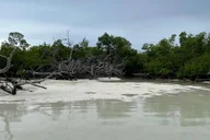 Key West Sandbar Adventure thumbnail 5