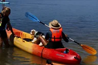 Orlando Dolphin & Manatee Kayaking Tour thumbnail 3