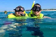 Panama City Beach Snorkeling and Dolphin Watching Tour thumbnail 6