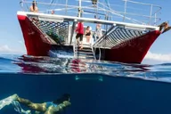 Kailua-Kona Kealakekua Bay Snorkel and Sail 4 hr thumbnail 3