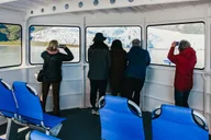 Seward Kenai Fjords Glacier & Wildlife Cruise 6 hr thumbnail 3