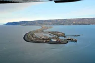 Homer Bear-Viewing Day Trip thumbnail 5