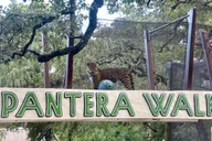 San Antonio Zoo Admission Ticket thumbnail 4