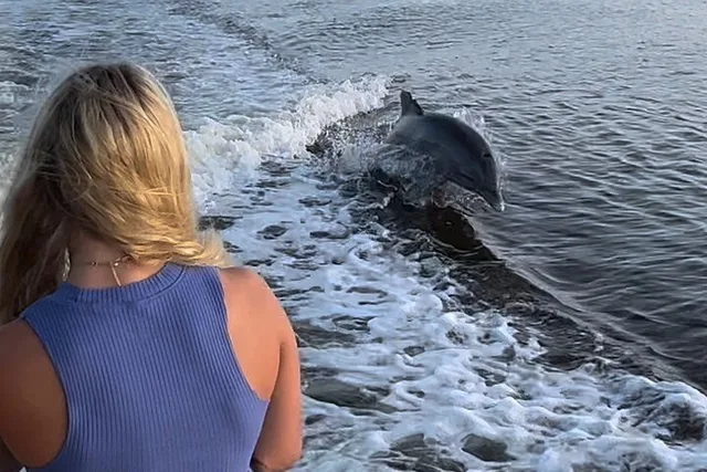 Marco Island Boat Tour - Image 5