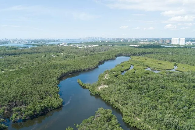 Miami Beach Helicopter Tour - Image 4