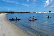 St. Augustine Dolphin Kayak Tour thumbnail 3