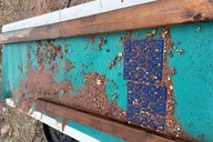 Bisbee Gold Hunting Tour thumbnail 5