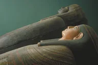 Chicago Field Museum Early Access Tour thumbnail 3