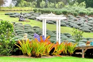 Maui Private Upcountry Tour thumbnail 5