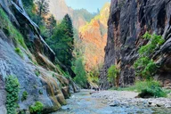Zion National Park Guided Hike in The Narrows thumbnail 2