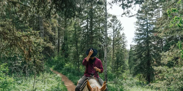 Jackson Horseback Tour with Lunch 4.5 hr - Image 6