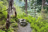 Sitka Guided Hike to Beaver Lake thumbnail 5