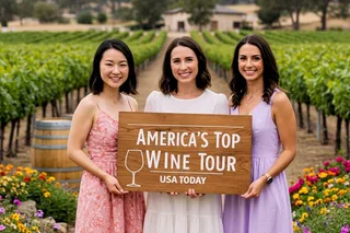 Santa Ynez Wine Tour with Picnic Lunch