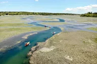 East Sandwich Kayak Tour in the Great Marsh thumbnail 6