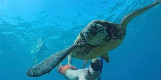 West Palm Beach Snorkel Tour with Turtles