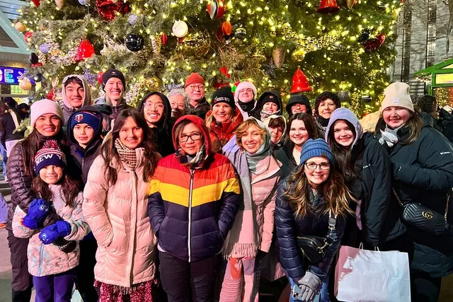 New York Christmas Holiday Lights Walking Tour 2 hr - Image 4