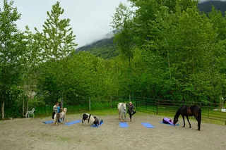 Yoga with Horses 90 min