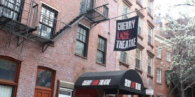 New York Greenwich Village Walking Tour - Image 4