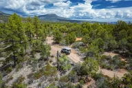 Zion East Rim Jeep Tour thumbnail 6