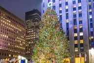 New York Christmas Tour with Driver and Guide thumbnail 5