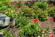 Kennebunkport Garden Stroll thumbnail 4