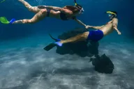 Maui 4x4 Coastal Adventure with Snorkel thumbnail 4
