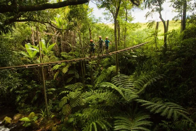 Big Island Zipline Adventure with Waterfall - Image 5