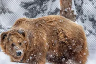 Sioux Falls Zoo Entry Ticket thumbnail 1