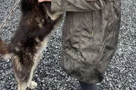 Seward Dog Sled Ride and Kennel Tour thumbnail 5