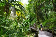 Oahu Circle Island Tour Off-the-Beaten Path thumbnail 6