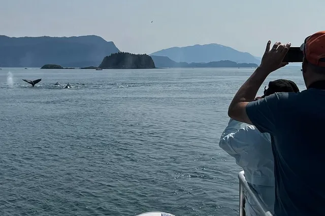 Juneau Whale Watching Cruise 4 hr - Image 3
