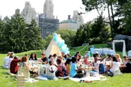 New York City Central Park Picnic thumbnail 4