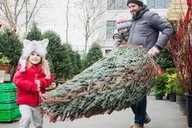 New York City Christmas Lights Private Walking Tour thumbnail 1