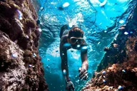 La Jolla Snorkel Adventure with Wetsuit Rental thumbnail 5