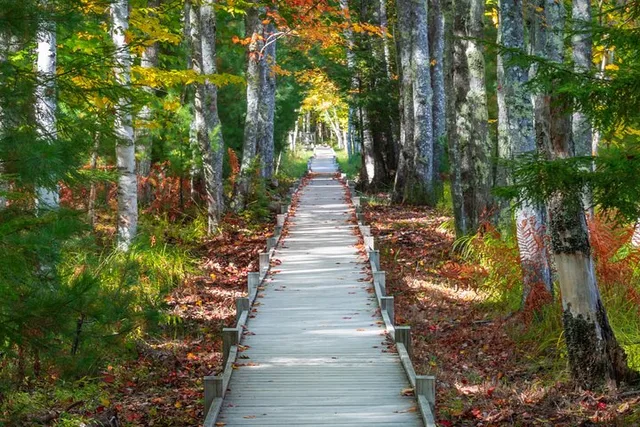 MDI Discovery Tour Beyond Acadia 5 hr - Image 2