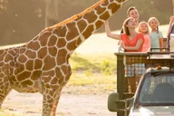 Tampa Busch Gardens Ticket & Multi-Park Options thumbnail 1