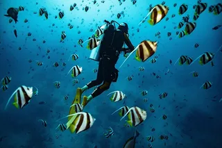 Kauai Scuba Diving for Beginners