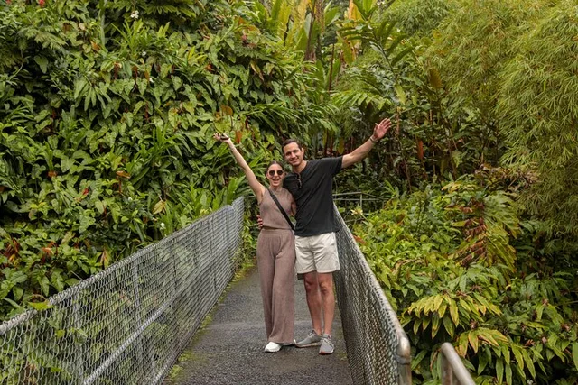Hilo Waterfalls and Volcano Tour - Image 4