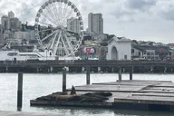 San Francisco Highlights & Stanford Shopping Tour thumbnail 4
